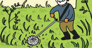 Mowing-company